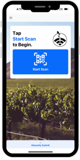 Click Start Scan